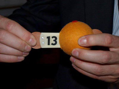 33.jpg