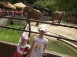 Bojnice 2010
