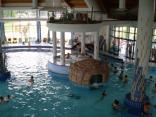 wellness Patince
