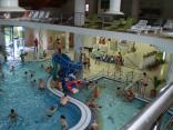 wellness Patince