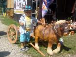 Agrokomlex 2010