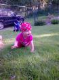 Vanesska:-))