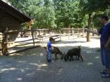 Familypark Rakusko