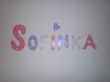 Sofinkina izbicka pred a 