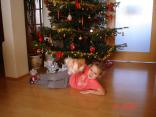 Vianoce 2011 