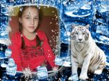 photo efect