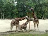 ZOO Zlin  