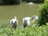 ZOO Zlin  