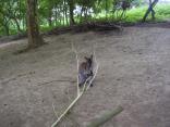 ZOO Zlin