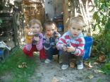ROBKO,NORKO,TAMARKA
