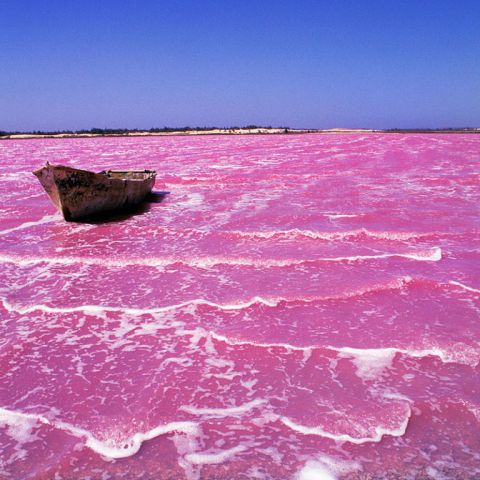 Ružové jazerá