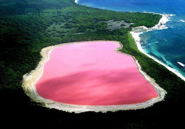 Ružové jazerá