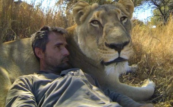 Neuveriteľný moment ako lev skočí do náručia muža !