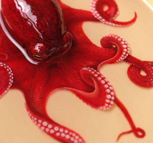 Neuveriteľná chobotnica