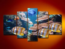 191 obraz ryby a koraly
