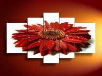 391 - červená gerbera