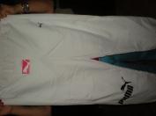 Nove puma