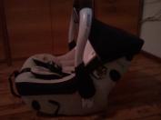 Concord intense 2010