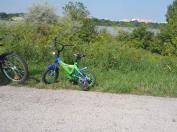 Bicykel 12 palcovy