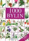 Kniha 1000 bylin nova