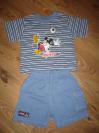 Suprava mickey