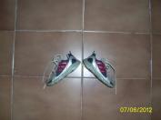 Botasky Adidas