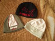 Puma predana