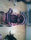 Kočik pre babiky