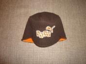 Puma ciapka