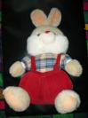 Maxi zajac
