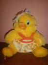 Kacicka