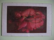 Puzzle od anny geddes