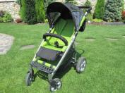 Gesslein f4 buggy