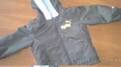 Puma kabatik