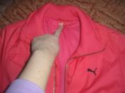 Puma vetrovka č. m