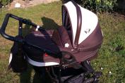 Danny sport butterfly2013