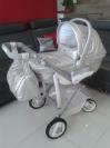 CAM pulsar 2013