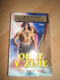 Ohne v zime