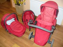 Kočík neonato