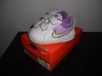 Botaskynike