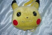 Plecniak pokemon