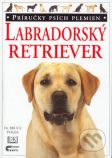 Labradorsky retriver