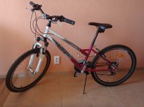 Bicykel