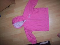 Puma bundička