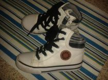 Cool chicco kotnicky