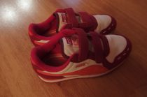 Botasky puma