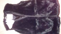 Vesta