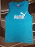 Tielko puma