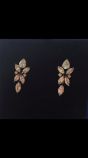 Dyrberg kern 30eur
