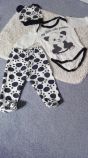 Set panda